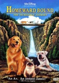Homeward Bound The Incredible Journey (1993) สองหมาหนึ่งแมว ใครจะพรากเราไม่ได้