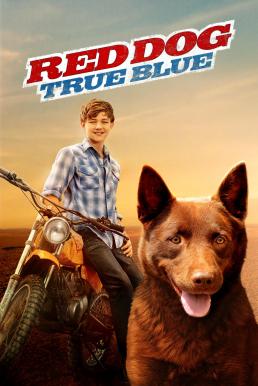 Red Dog True Blue (2016) เพื่อนซี้หัวใจหยุดโลก 2