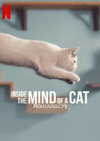 Inside the Mind of a Cat (2022) คิดแบบแมวๆ