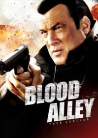 True Justice Blood Alley (2012) คนดุรวมพลเดือด