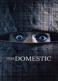 The Domestic (2022) คนภายใน